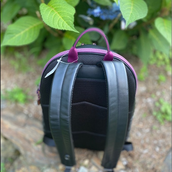 Coach Disney X Dumbo Backpack Limited Edition NWT! - Picture 4 of 12